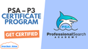 Professional Search Academy - P3